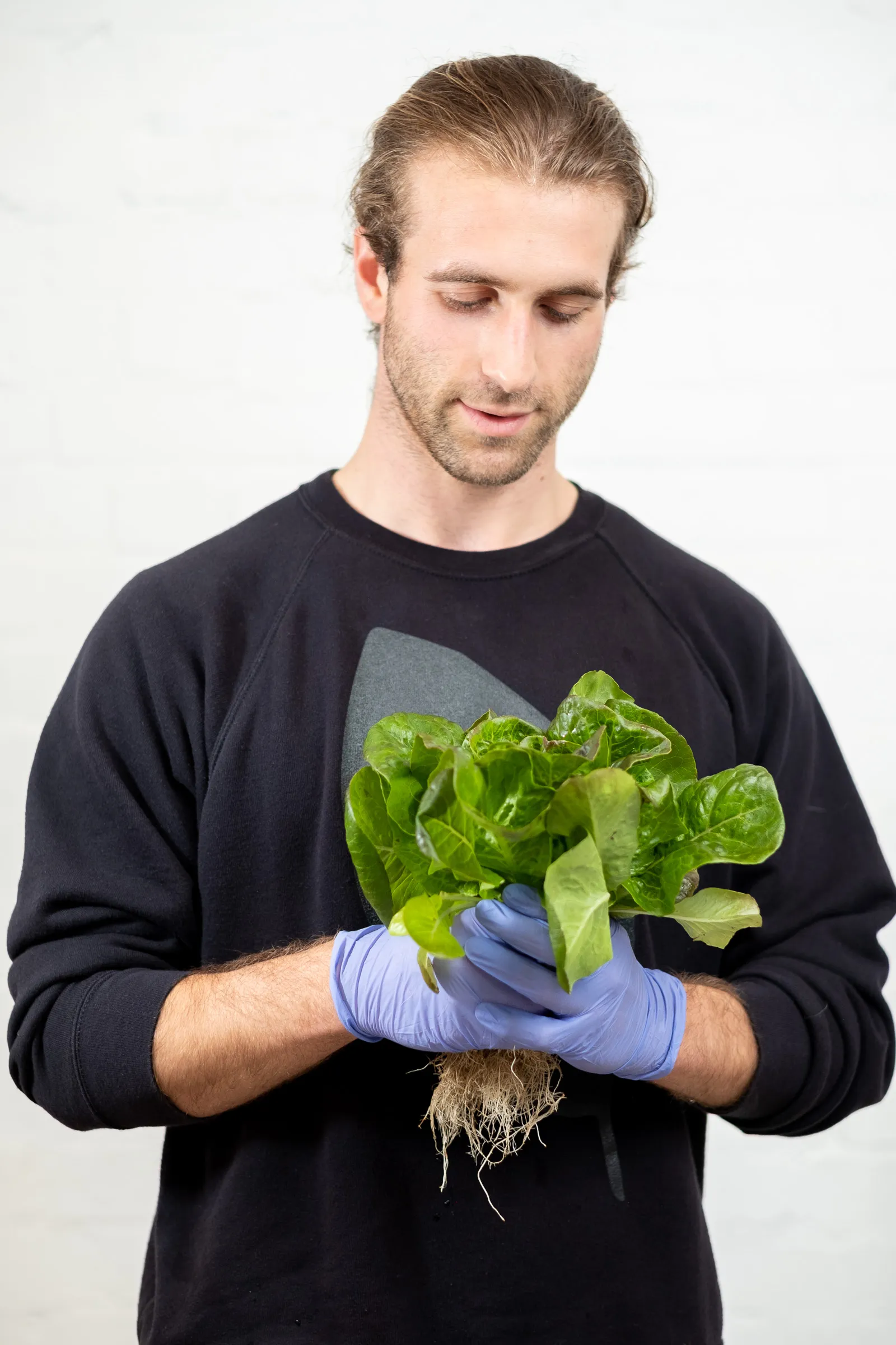 Infarm London Team Photography - Product detail, harvested lettuce with roots, gloved hands